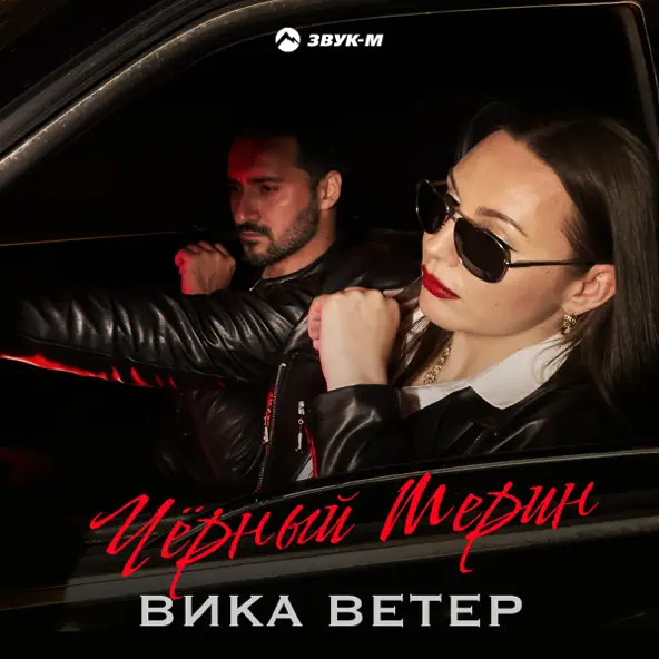 Обложка к песне Чёрный Мерин от Вика Ветер