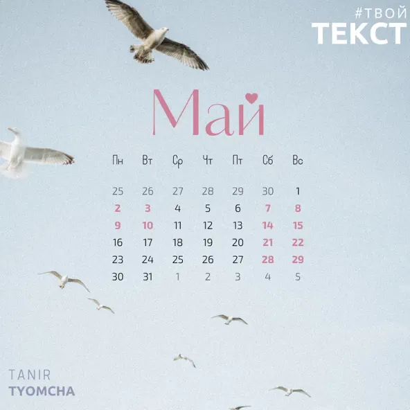 Обложка к песне Май (feat. Tyomcha) от Tanir