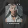 Обложка к песне Щененаречена от Ivan Liulenov