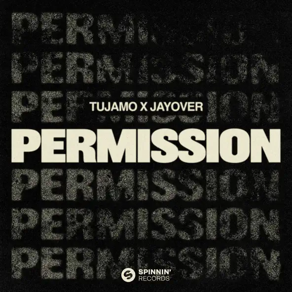 Обложка к песне Permission (feat. Jayover) от Tujamo