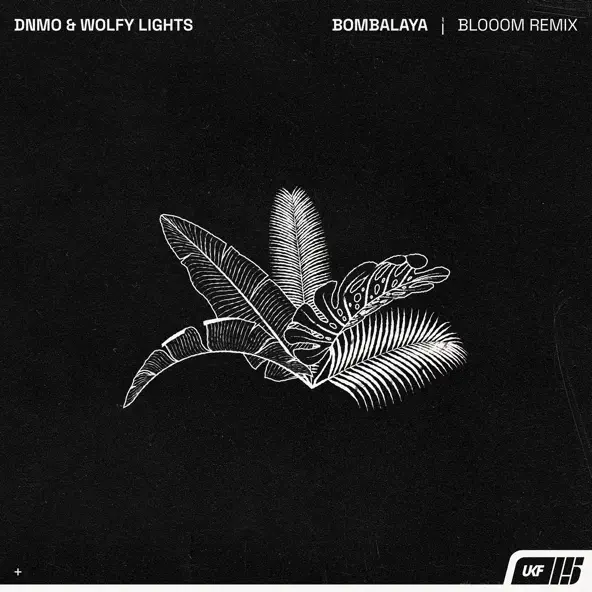 Обложка к песне Bombalaya (Blooom Remix) от Dnmo & Wolfy Lights