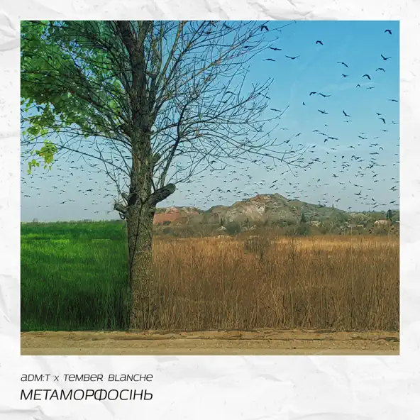 Обложка к песне Метаморфосінь (Acoustic) от Adm:t & Tember Blanche