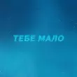 Обложка к песне Тебе Мало (feat. Afanasiev) от Проць