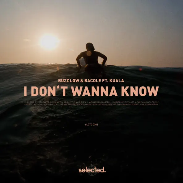 Обложка к песне I Don't Wanna Know (feat. Bacole & Kuala) от Buzz Low