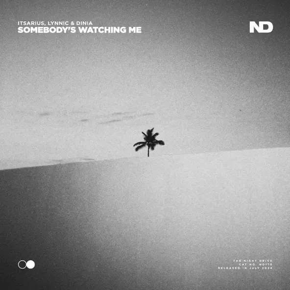 Обложка к песне Somebody's Watching Me (Extended Mix) от Itsarius & Lynnic feat. Dinia