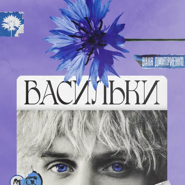 Обложка к песне Васильки от Ваня Дмитриенко