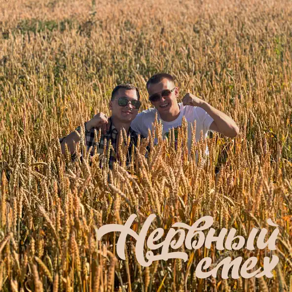 Обложка к песне Нервный Смех (feat. Finik) от Aleks Ataman