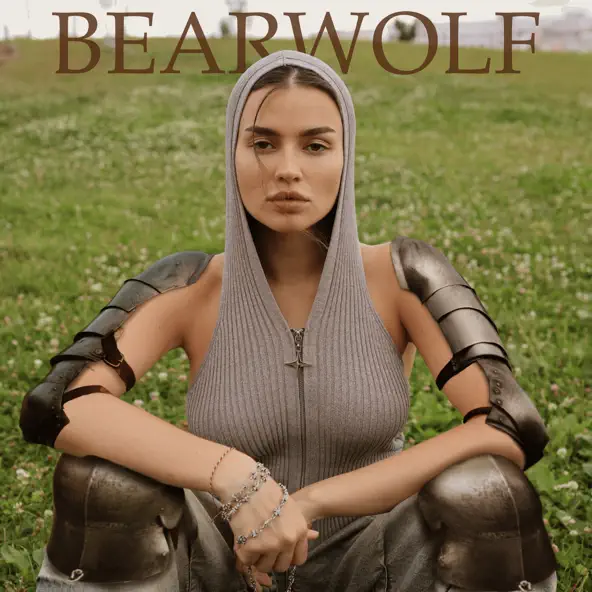 Обложка к песне Один В Поле Воин от Bearwolf