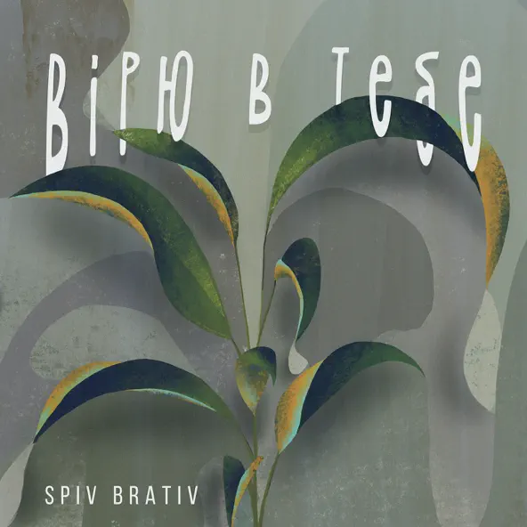 Обложка к песне Вірю В Тебе от Spiv Brativ