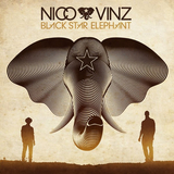Обложка к песне In Your Arms (feat. Vinz) от Nico