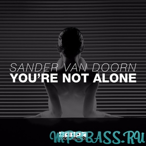 Обложка к песне You're Not Alone (Original Mix) от Sander van Doorn