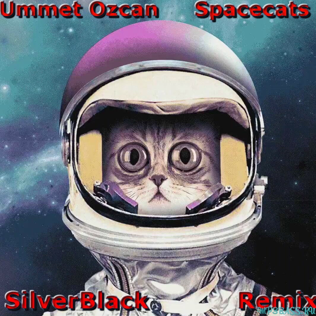 Обложка к песне Spacecats (SilverBlack Remix) от Ummet Ozcan