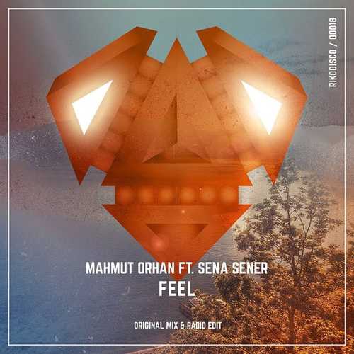 Обложка к песне Feel (feat. Sena Sener) от Mahmut Orhan