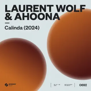Обложка к песне Calinda (feat. Ahoona) от Laurent Wolf
