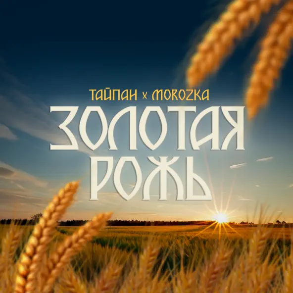 Обложка к песне Золотая Рожь (feat. MorozKA) от Тайпан