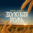 Обложка к песне Золотая Рожь (feat. MorozKA) от Тайпан