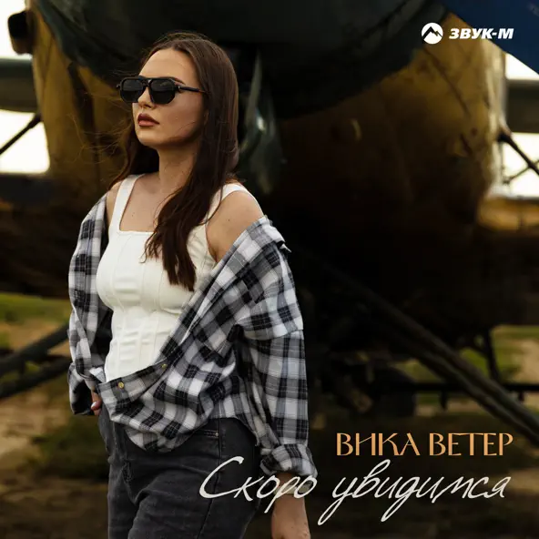 Обложка к песне Скоро Увидимся от Вика Ветер
