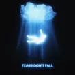 Обложка к песне Tears Don't Fall (feat. Enisa) от Kaskade