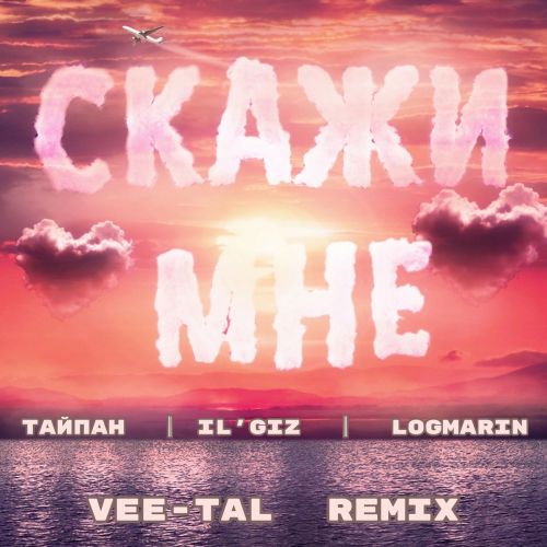 Обложка к песне Скажи Мне (Vee-tal Remix) от Тайпан & Il'giz feat. Logmarin