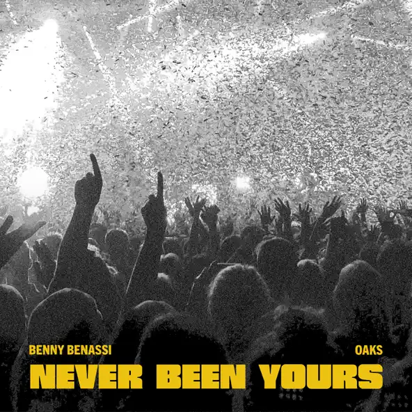 Обложка к песне Never Been Yours (feat. Oaks) от Benny Benassi