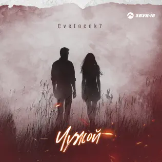 Обложка к песне Чужой от Cvetocek7