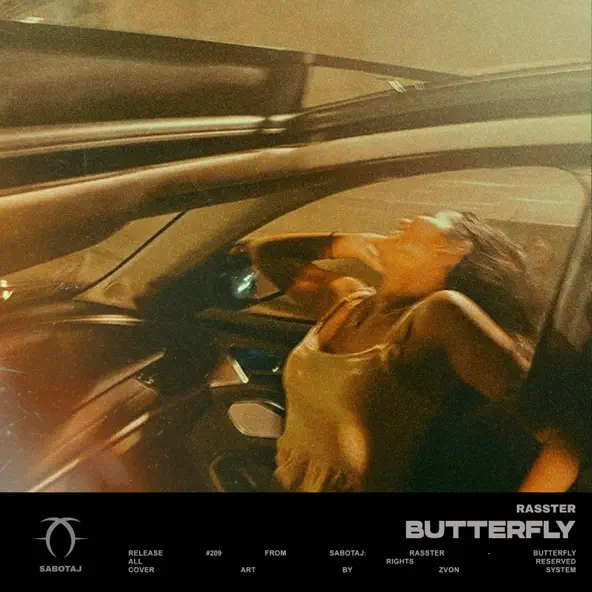 Обложка к песне Butterfly от Rasster