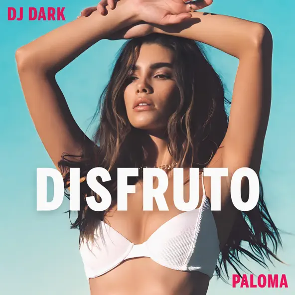 Обложка к песне Disfruto (feat. Paloma) от DJ Dark