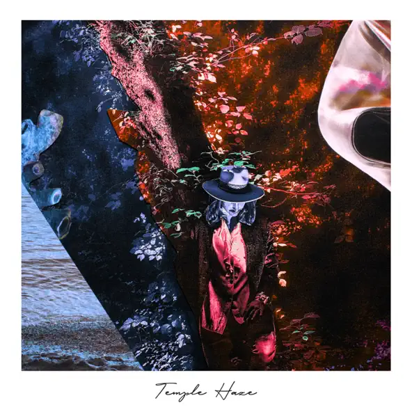 Обложка к песне The Shadows Valley (Harry Charles Remix) от Temple Haze