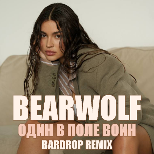 Обложка к песне Один В Поле Воин (Bardrop Remix) от Bearwolf