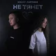 Обложка к песне Не Тянет (feat. Лайтовая) от Wellay