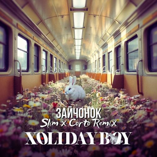 Обложка к песне Зайчонок (Slim & Corto Remix) от Xolidayboy