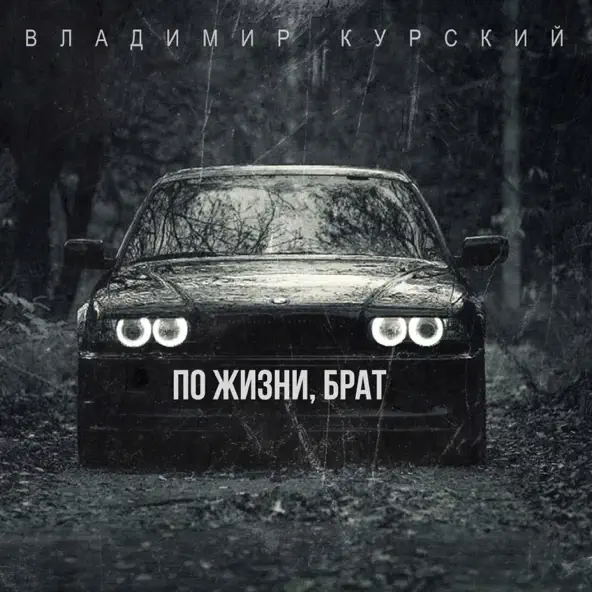 Обложка к песне По Жизни Брат от Владимир Курский