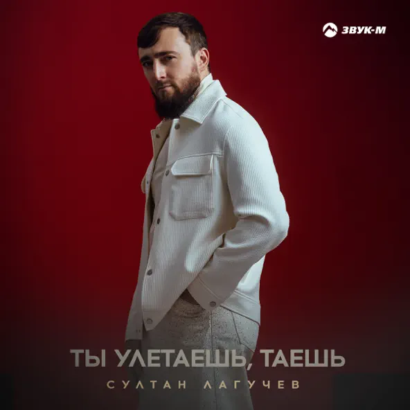 Обложка к песне Ты Улетаешь Таешь от Султан Лагучев