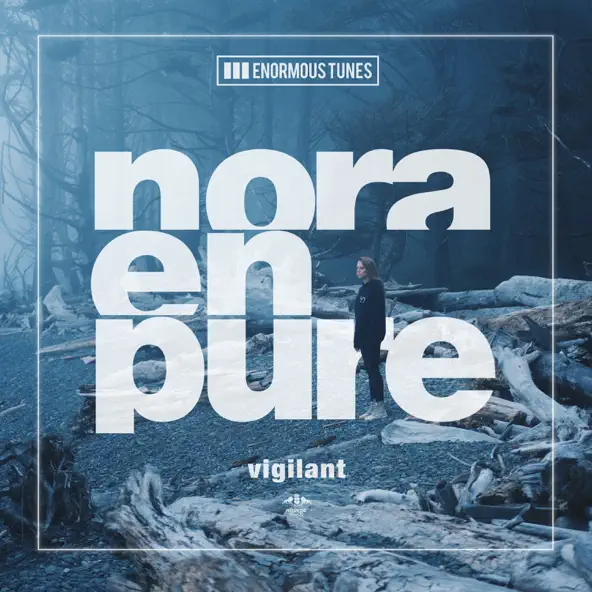 Обложка к песне Vigilant от Nora En Pure