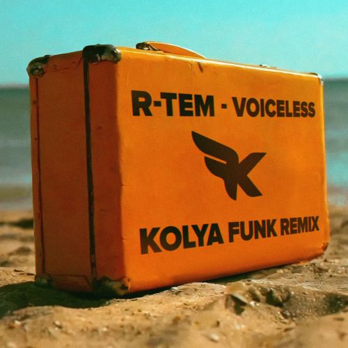 Обложка к песне Voiceless (Kolya Funk Remix) от R-Tem