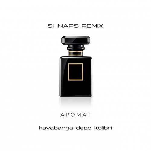 Обложка к песне Аромат (Shnaps Remix) от kavabanga Depo kolibri