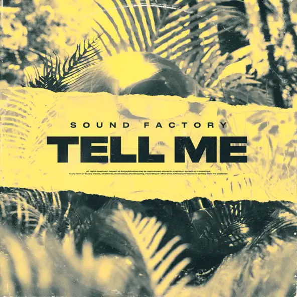 Обложка к песне Tell Me (Original Mix) от Sound Factory