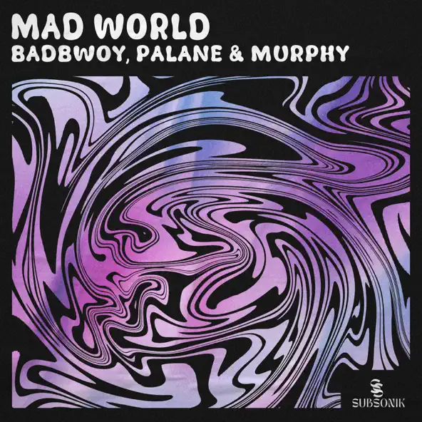 Обложка к песне Mad World (Extended Mix) от Badbwoy & Palane feat. Murphy