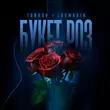 Обложка к песне Букет Роз (feat. Logmarin) от Тайпан