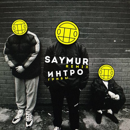 Обложка к песне Интро (Saymur Remix) от Грибы