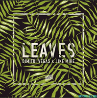 Обложка к песне Leaves (Original Mix) от Dimitri Vegas & Like Mike