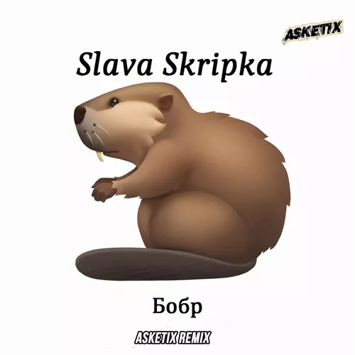 Обложка к песне Бобр (Asketix Remix) от Slava Skripka