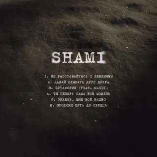 Обложка к песне Не Расставайтесь С Любимыми от Shami