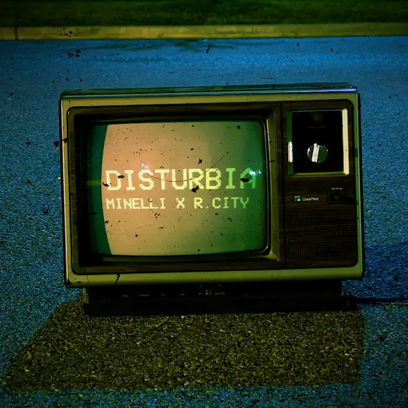 Обложка к песне Disturbia (feat. R. City) от Minelli