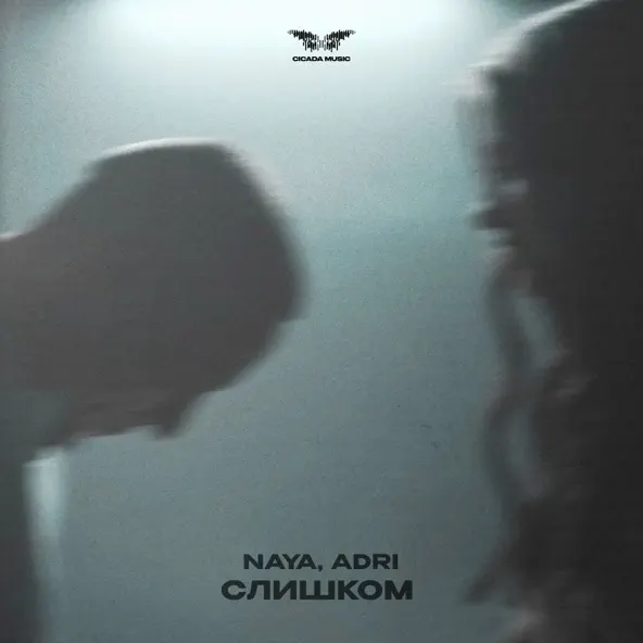Обложка к песне Слишком (feat. Adri) от Naya