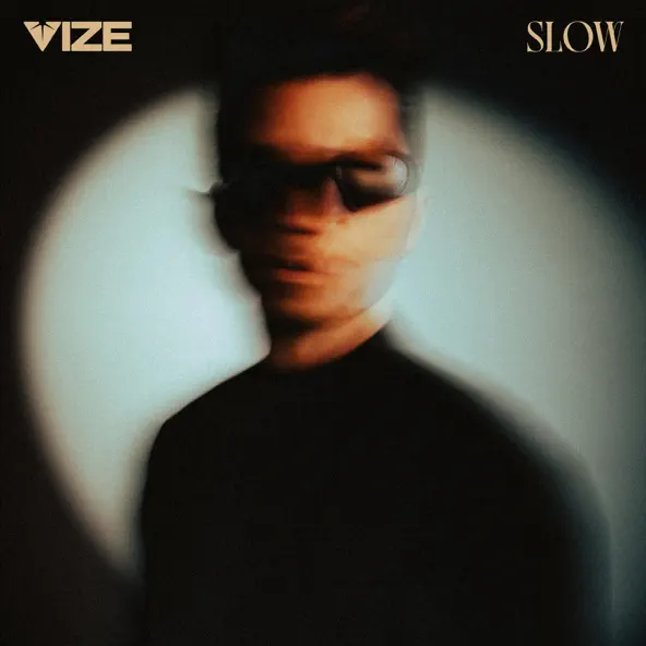 Обложка к песне Slow от Vize