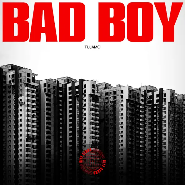 Обложка к песне Bad Boy от Tujamo
