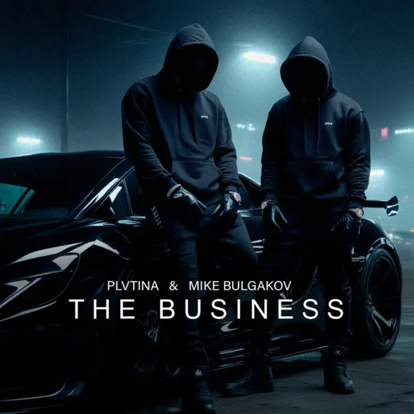 Обложка к песне The Business (feat. Mike Bulgakov) от Plvtina