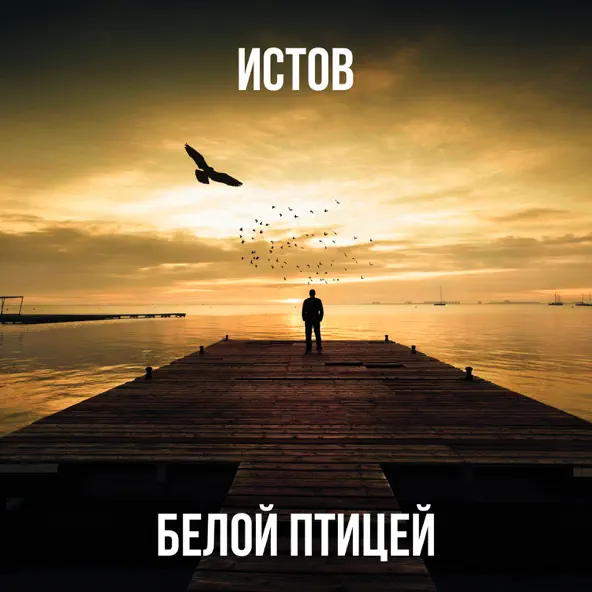 Обложка к песне Белой Птицей от Истов