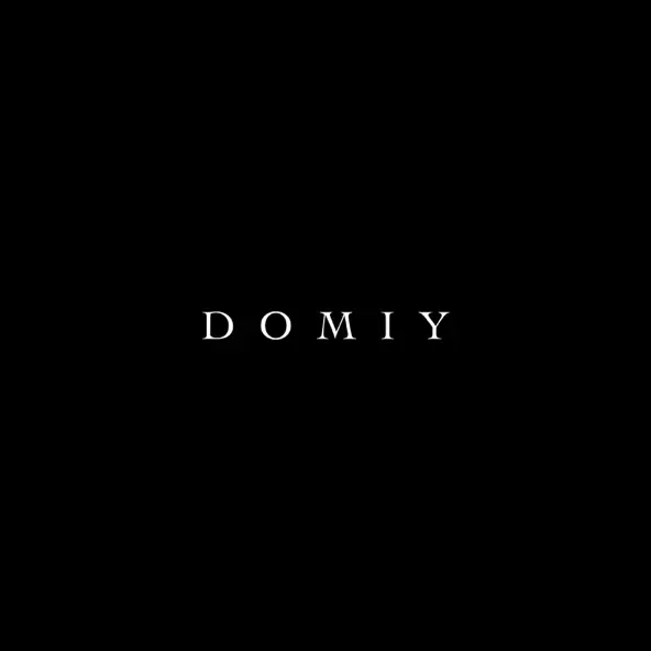 Обложка к песне Так І Не Знайшла от Domiy